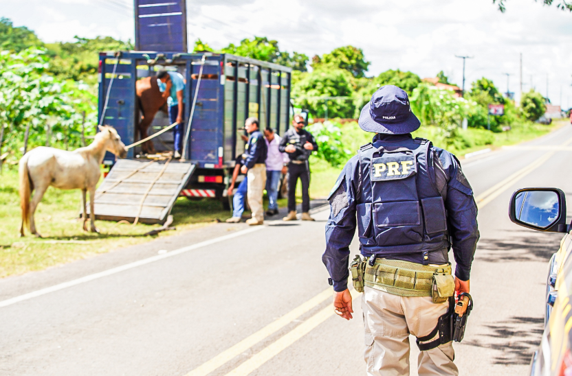 Operação Porteira Fechada