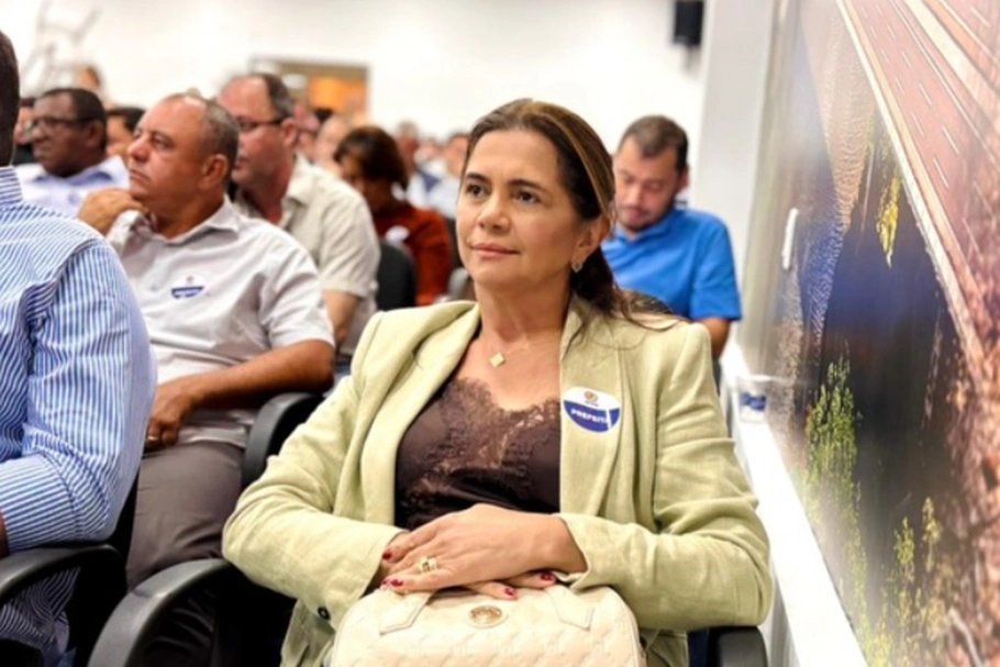 Prefeita Manoelina Borges