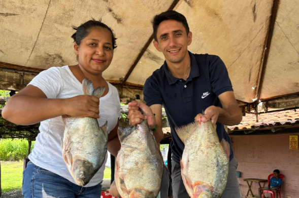 Prefeitura de Jatobá do Piauí distribui 5 mil kg de peixe