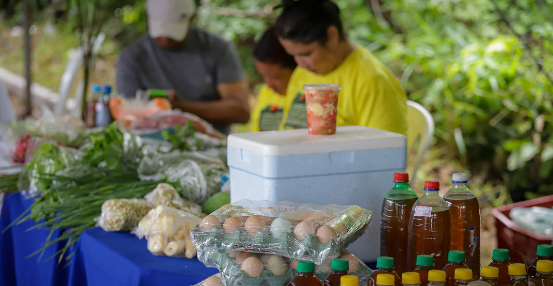 Produtos vendidos na feira do Câmara em Ação