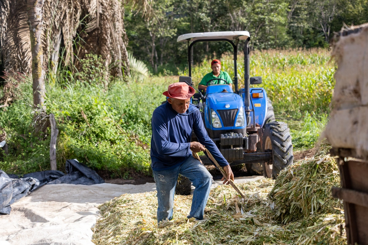 Programa de Silagem de Milho beneficia 200 produtores na zona rural de Uruçuí