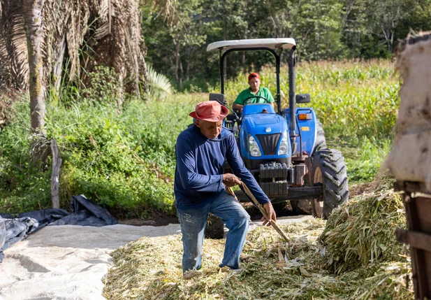 Programa de Silagem de Milho beneficia 200 produtores na zona rural de Uruçuí