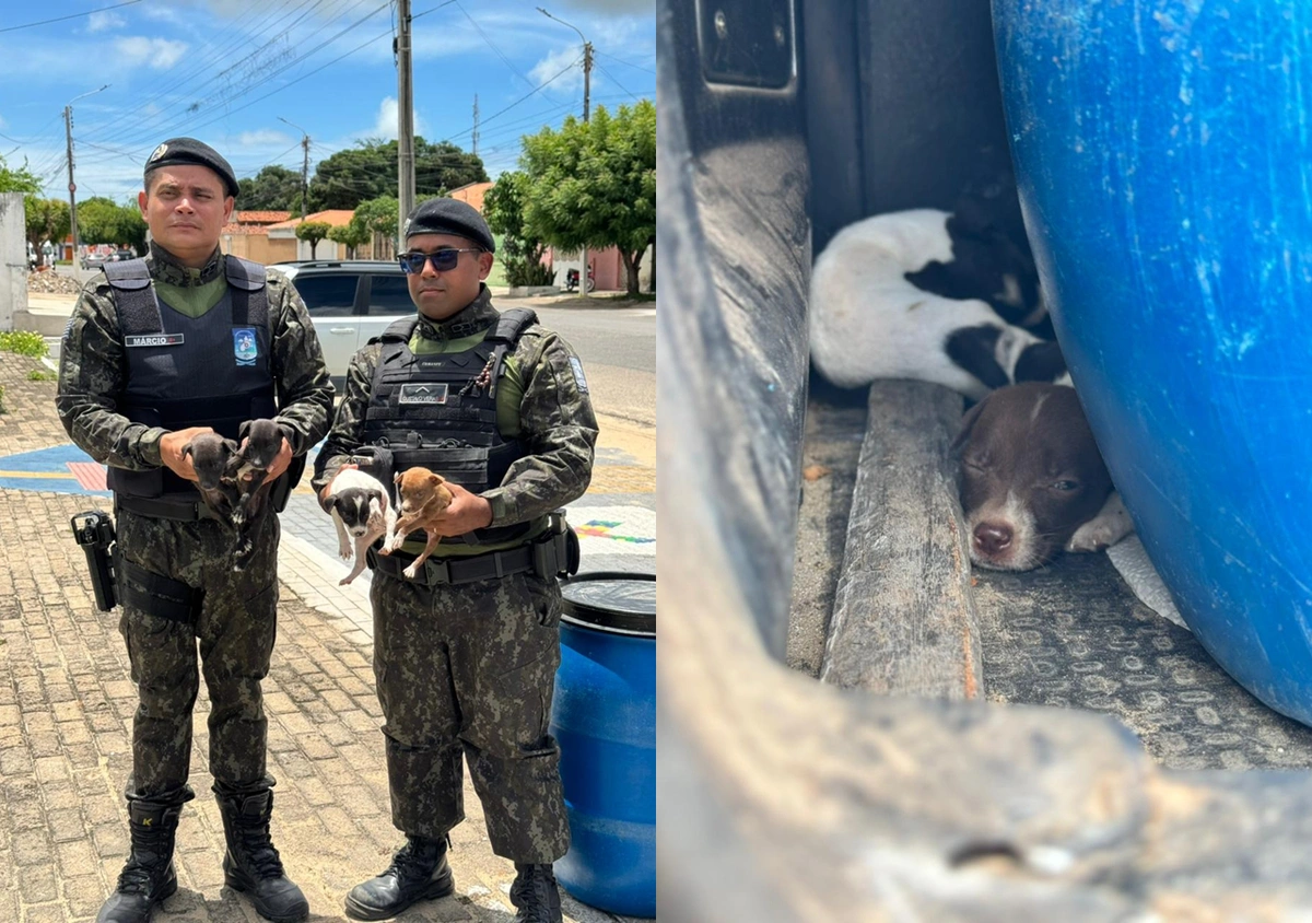 Resgate de animais em casa abandonada