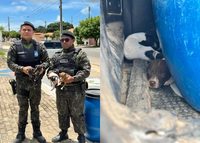 Resgate de animais em casa abandonada