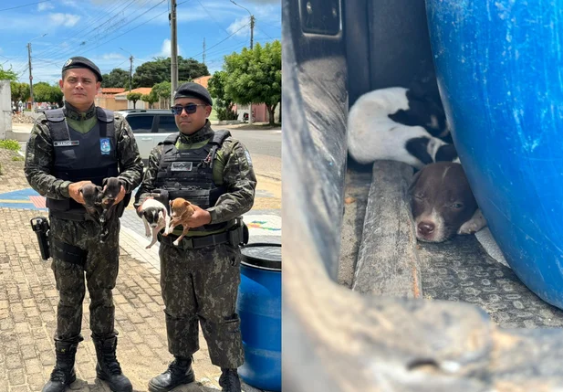 Resgate de animais em casa abandonada