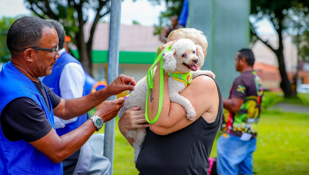 Vacinação de cão