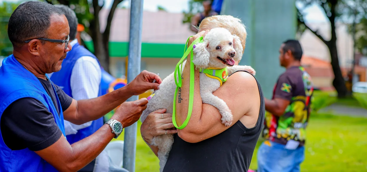 Vacinação de cão