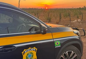 Caminhão tomba na BR 222 no município de Brasileira e motorista sai ileso