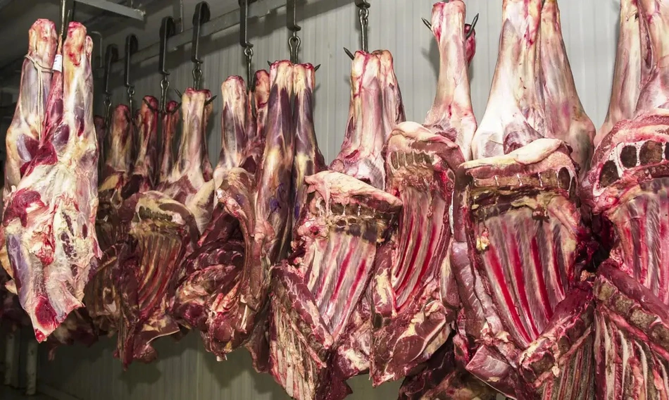 China suspende importação de carne de três frigoríficos brasileiros