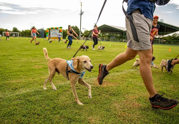 Corrida com animais
