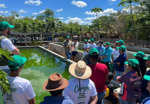 Dia de Campo fortalece capacitação de produtores rurais na cidade de Fronteiras