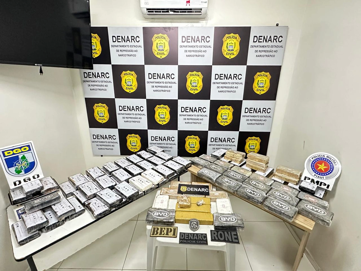 Droga apreendida durante ação do DENARC em Caxias-MA