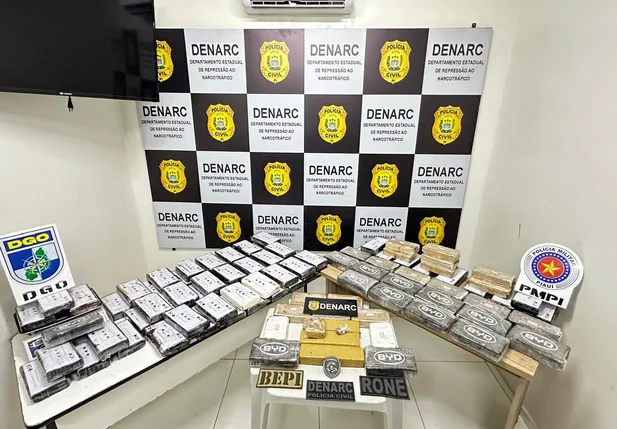 Droga apreendida durante ação do DENARC em Caxias-MA
