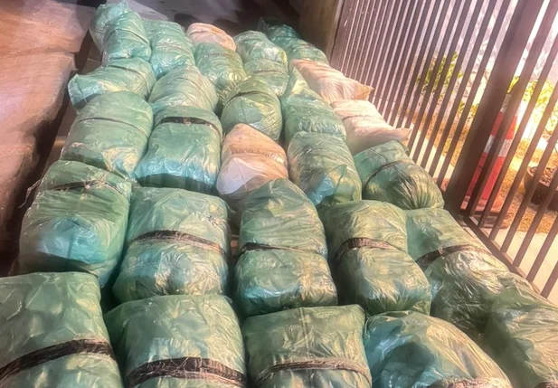 Droga apreendida pela PRF