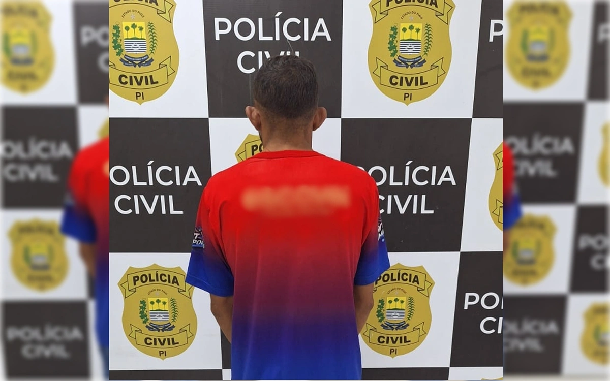 Homem foi preso em flagrante durante cumprimento de mandado de busca e apreensão em Castelo do Piauí