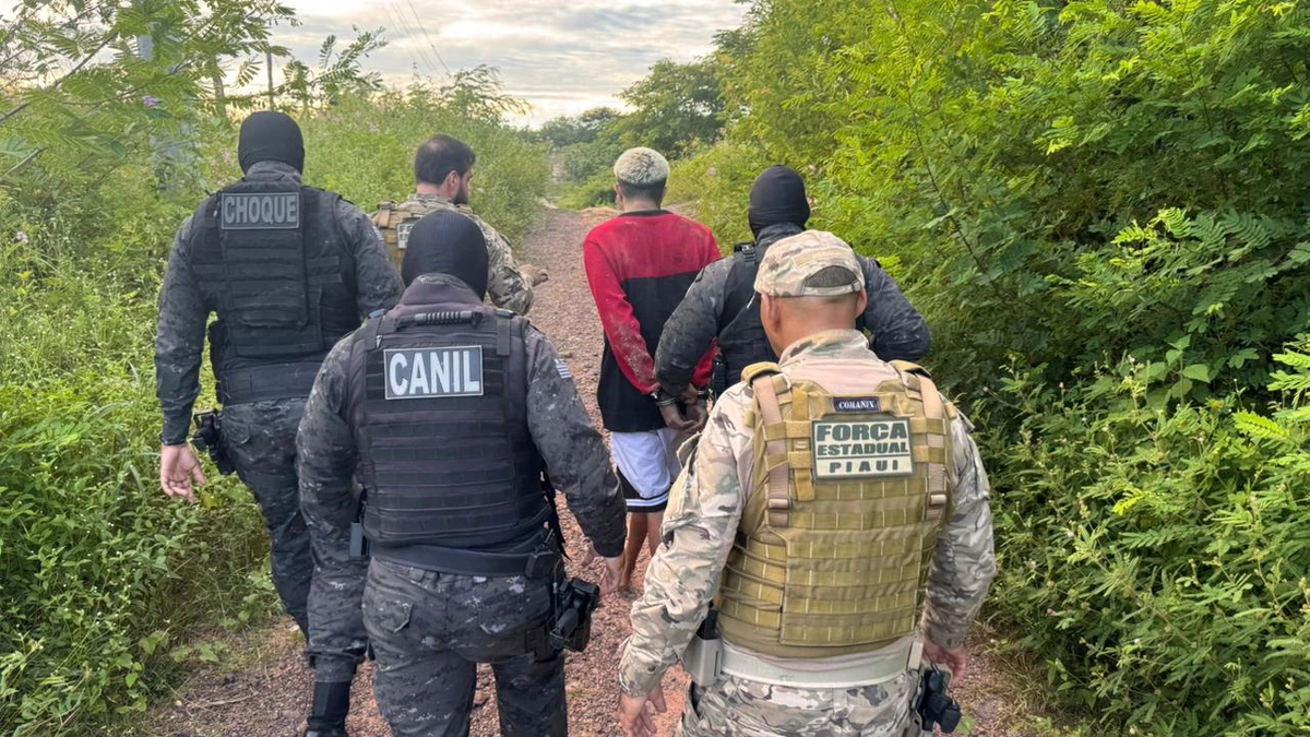 Polícia Civil deflagra Operação Proletarii e cumpre 40 mandados contra facções no litoral do Piauí