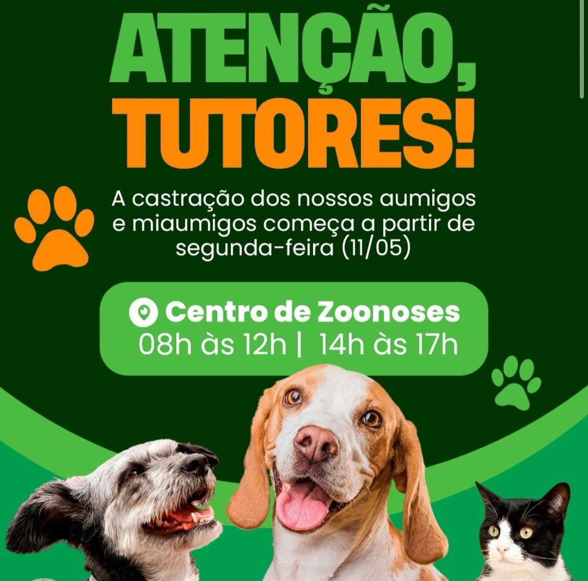 Prefeitura de Lagoa do Barro inicia campanha de castração de cães e gatos no Centro de Zoonoses
