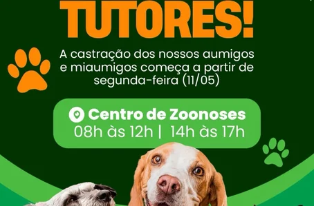 Prefeitura de Lagoa do Barro inicia campanha de castração de cães e gatos no Centro de Zoonoses