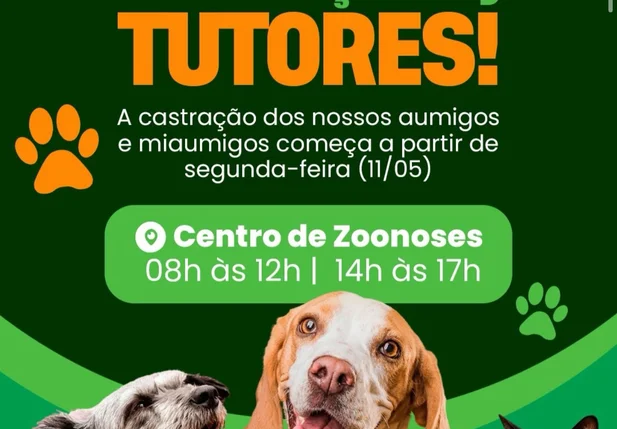 Prefeitura de Lagoa do Barro inicia campanha de castração de cães e gatos no Centro de Zoonoses