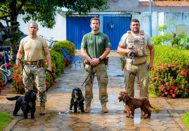 Prefeitura de Timon inicia projeto educativo em escolas da rede municipal com cães policiais