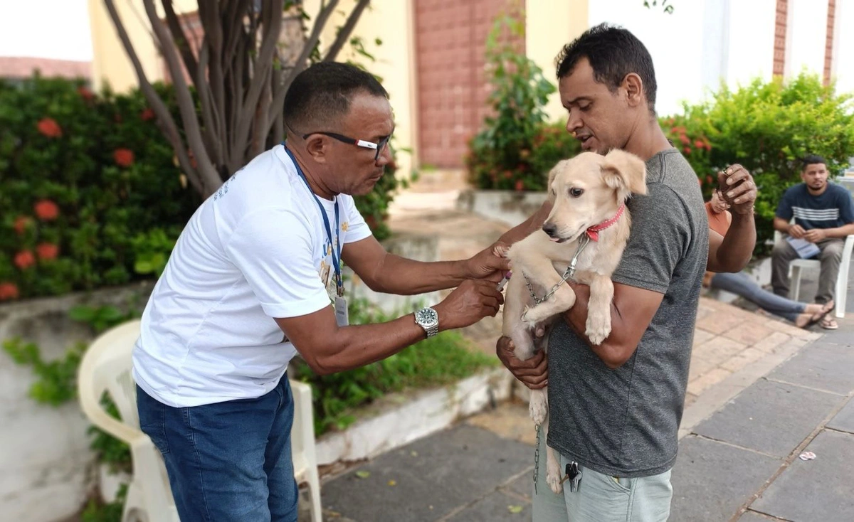 Prefeitura de Timon realiza a ação Saúde em 4 patas para promoção do bem-estar animal neste sábado (09)
