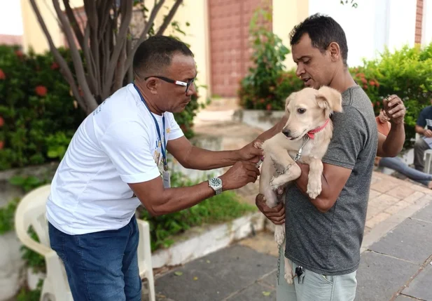 Prefeitura de Timon realiza a ação Saúde em 4 patas para promoção do bem-estar animal neste sábado (09)