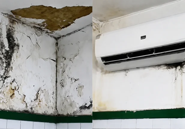 Proliferação de mofo na Maternidade Wall Ferraz