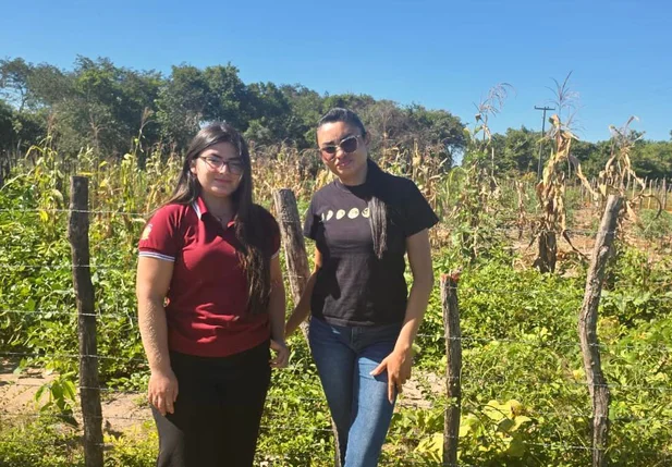 Secretaria Municipal de Agricultura de Sigefredo Pacheco inicia vistorias técnicas do Garantia-Safra