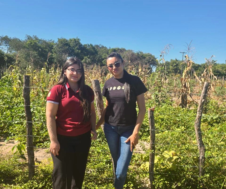 Secretaria Municipal de Agricultura de Sigefredo Pacheco inicia vistorias técnicas do Garantia-Safra