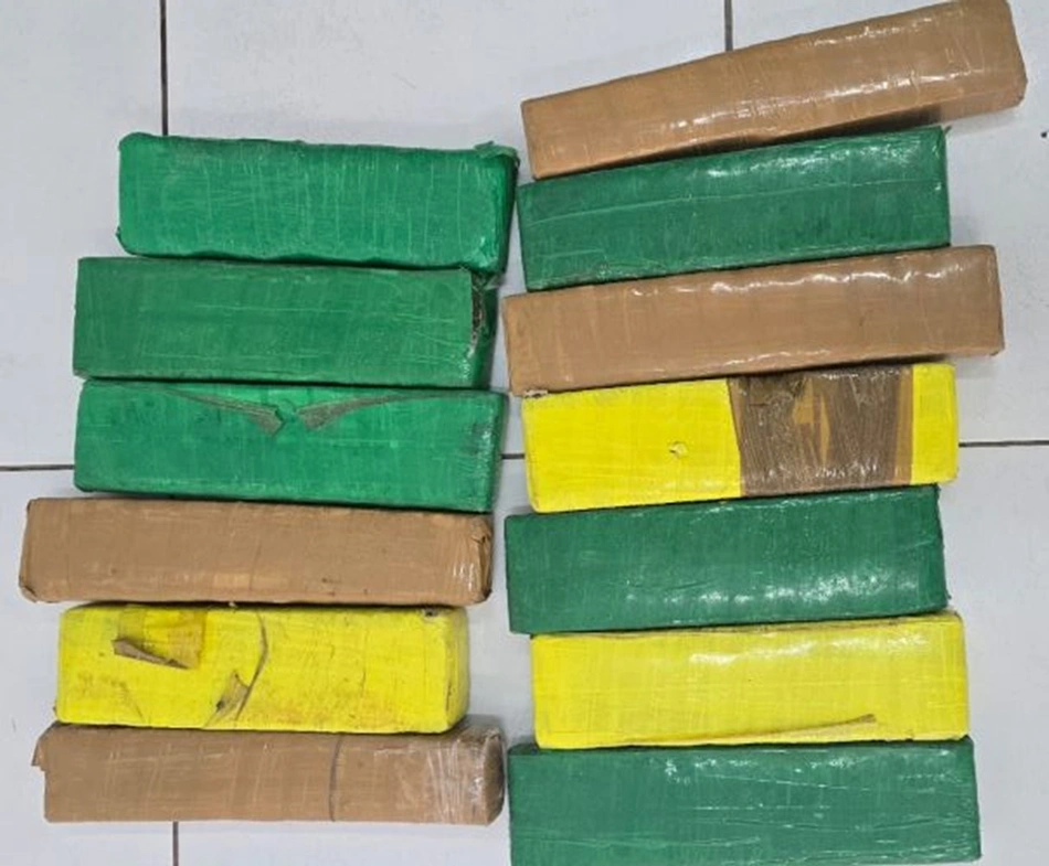 Tabletes de maconha apreendidos pela Polícia Civil do Maranhão