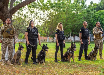 Teresina sedia curso nacional de buscas com cães farejadores