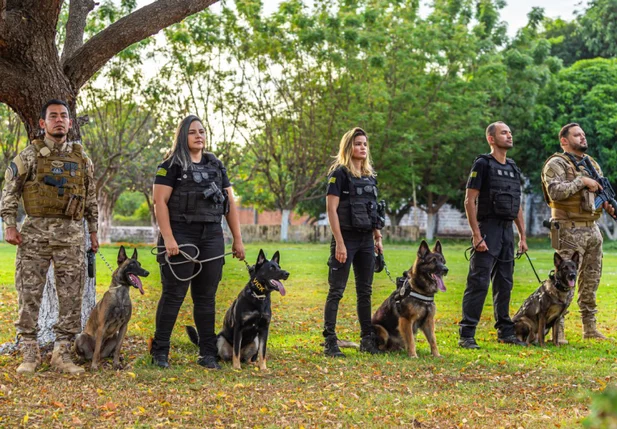 Teresina sedia curso nacional de buscas com cães farejadores