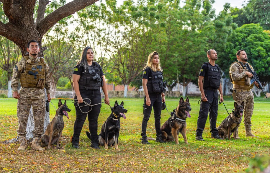 Teresina sedia curso nacional de buscas com cães farejadores