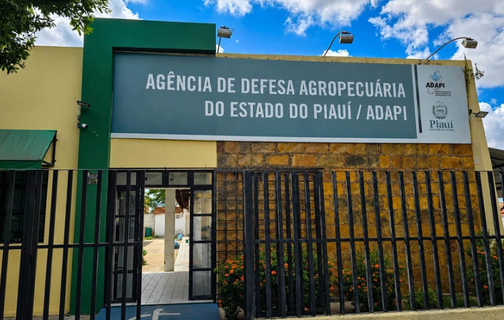 Adapi