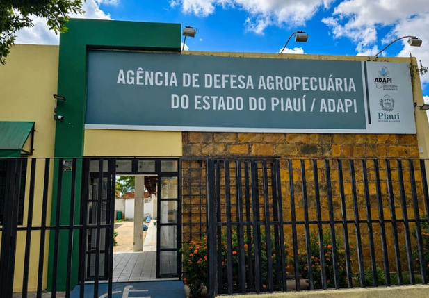 Adapi