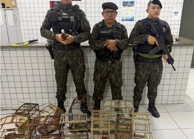 Apreensão de aves em Parnaíba
