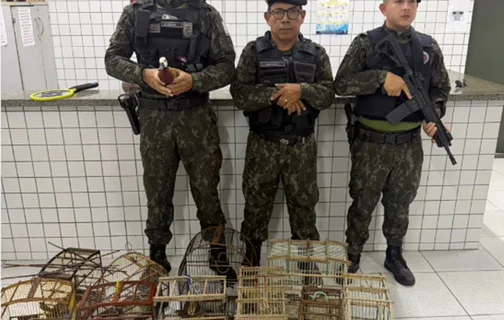 Apreensão de aves em Parnaíba