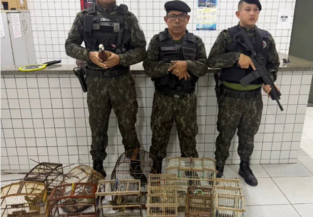 Apreensão de aves em Parnaíba