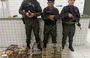 Apreensão de aves em Parnaíba