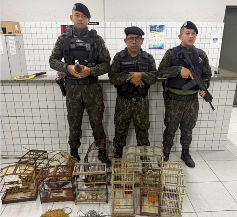 Apreensão de aves em Parnaíba