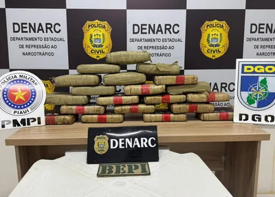 Apreensão de drogas feita pela polícia