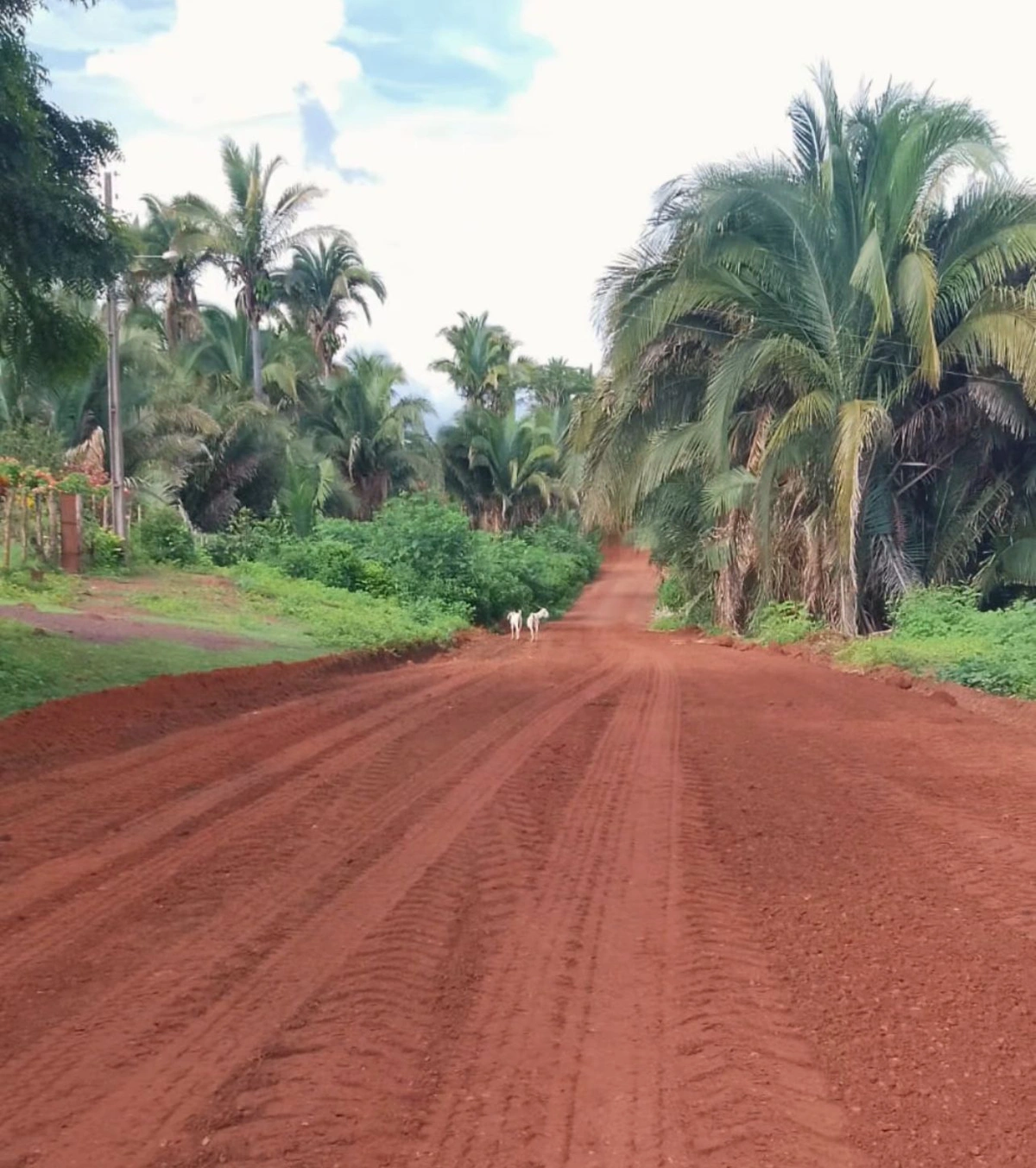 ‘Caminhos da União’ transforma mobilidade e aproxima comunidades rurais dos serviços públicos