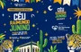 Confira a programação do Céu Raimundo Junino 2026 em São Raimundo Nonato