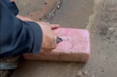 Droga apreendida em caminhão na cidade de Oeiras