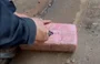 Droga apreendida em caminhão na cidade de Oeiras