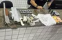 Drogas e munições apreendidas com os menores