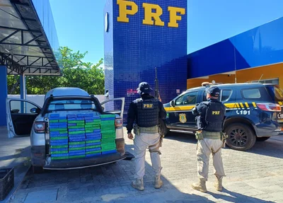 Equipe da PRF fez a apreensão em Parnaíba
