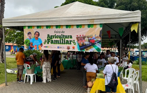 Feira em Timon
