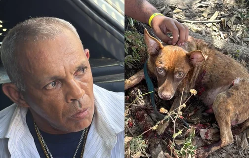 Homem foi preso após arrastar cachorro amarrado em carro em Teresina