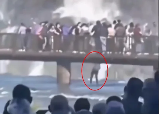 Homem se arriscando nas Cataratas do Iguaçu